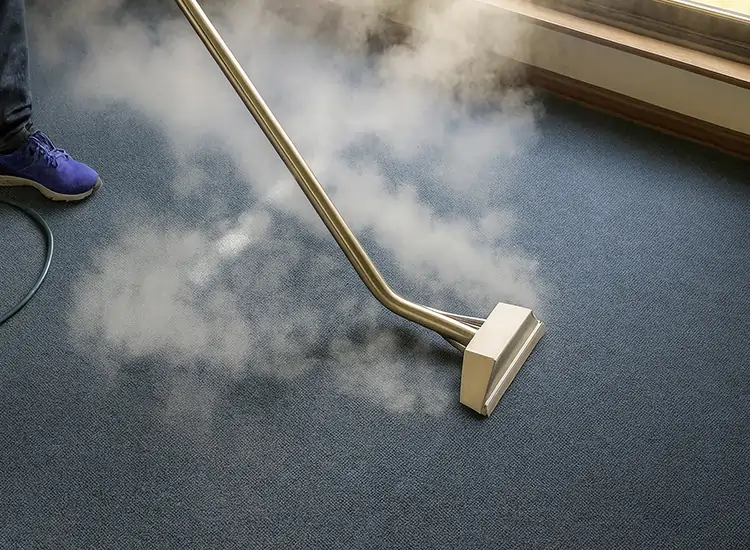 Professional carpet cleaning in Richmond TX using deep steam extraction—removes stains and pet odors