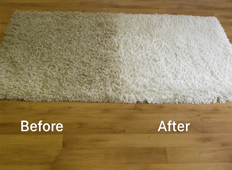 Professional rug cleaning in Richmond TX — Persian, wool, and synthetic rugs safely deep-cleaned