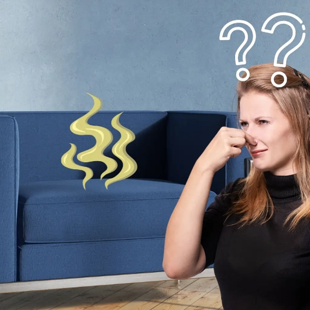 Woman holding her nose due to unpleasant odor coming from sofa with question marks showing confusion